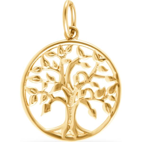 FAVS FAVS Anhänger 375er Gelbgold Anhänger 1.0 pieces