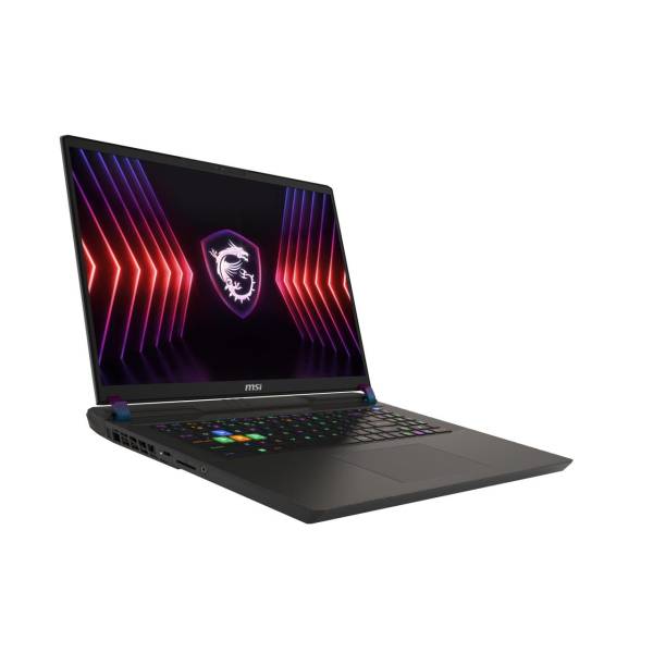 MSI_Vector_17_HX_A13VIG_673_Intel_R_Core_TM_i9_i9_13980HX_Laptop_43_2_cm_17_Quad_HD_32_GB_DDR5_SDRAM_2_TB_SSD_NVIDIA_GeForce_RTX_4090_Wi_Fi_6E_802_11ax_Windows_11_Home_Schwarz